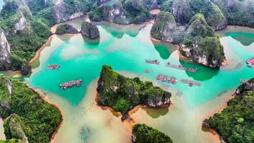 瓜万渔村的特色海鲜美食与海洋生物