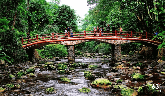 Vườn quốc gia Xuân Sơn - Trải nghiệm hệ sinh thái đa dạng và độc đáo