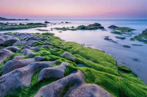 Bãi biển Cổ Thạch 7