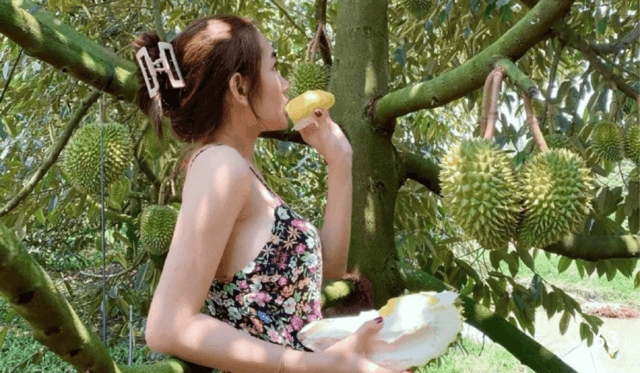 Trải nghiệm vườn trái cây Vĩnh Kim độ vào mùa ở Tiền Giang