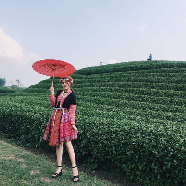 Đồi chè Gia Lai - một trong 7 đồi chè dành cho dân thích xê dịch