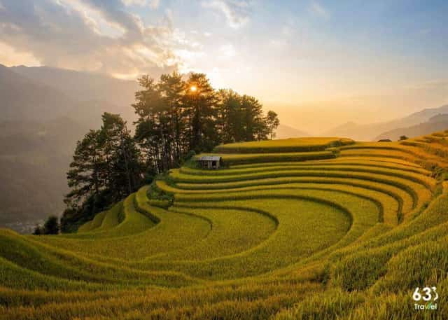 Mù Cang Chải đẹp siêu thực,du khách tranh thủ check-in cuối mùa vàng