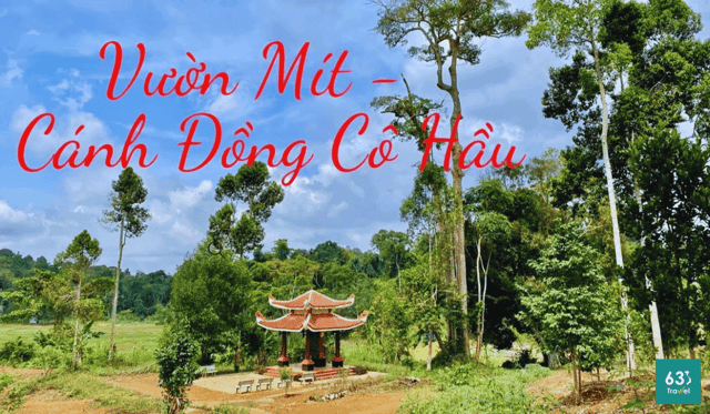 Di tích Quốc gia đặc biệt Vườn mít và Cánh đồng Cô Hầu