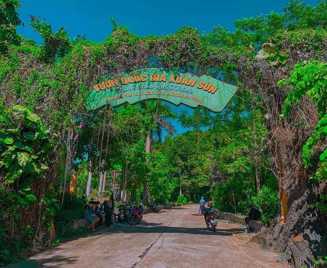 Khám phá Vườn Quốc gia Xuân Sơn cùng hệ sinh thái đa dạng,phong phú