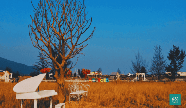 Thuận Phước Field - Nơi tái hiện khung cảnh làng quê châu Âu giữa lòng Đà Nẵng