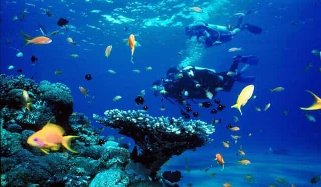 Khám phá đại dương tại Viện Hải Dương học Nha Trang