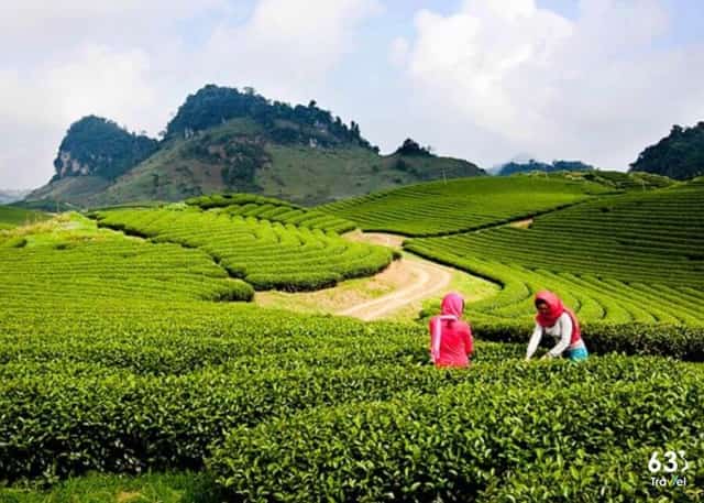 Mê đắm cảnh sắc thiên nhiên vùng núi ở Mộc Châu