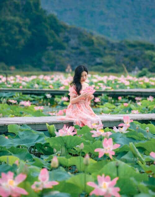 Nhiều du khách đến Ninh Bình để chụp ảnh với mùa sen. Ảnh: Huong Nguyen, Luyện Thanh Dung.