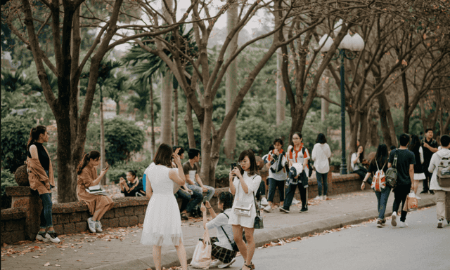 Giới trẻ check-in 'con đường lá vàng' ở Đại học Sư phạm Hà Nội