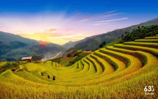 Ruộng bậc thang xã Chế Cu Nha đẹp tuyệt sắc mỗi khi mùa lúa chín