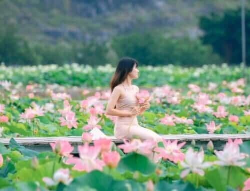Mùa sen nở tại Ninh Bình thu hút nhiều du khách đến chụp ảnh. Ảnh: Bùi Thị Lan.