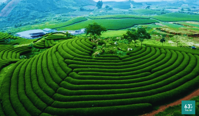 Mộc Châu - điểm đến thiên nhiên hàng đầu thế giới