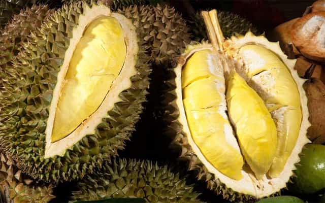 Sầu riêng Đắk Mil
