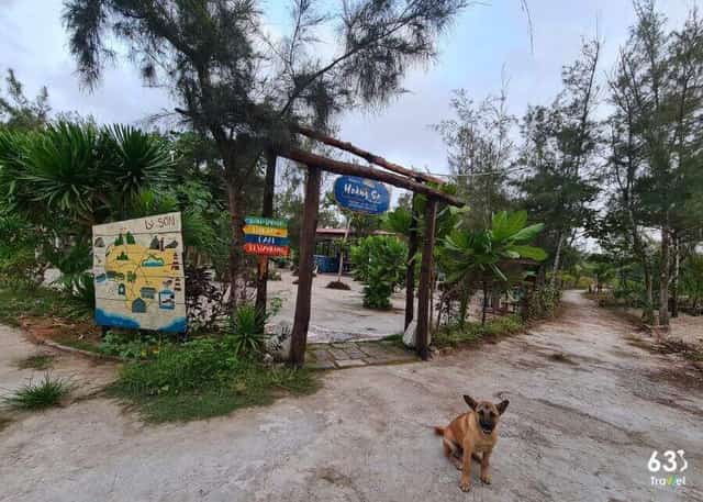 Hoàng Sa Healing Home