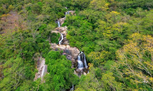 Núi Chúa National Park