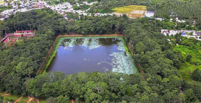Mặt ao rộng khoảng 100ha, độ sâu trong mùa mưa đạt khoảng 2m, có trữ lượng nước khoảng 2 triệu mét khối