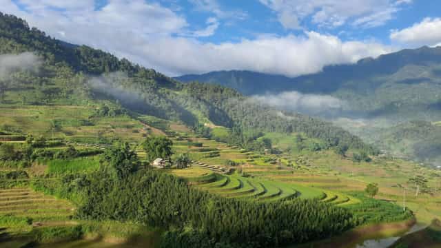 Phình Hồ during ripe rice season