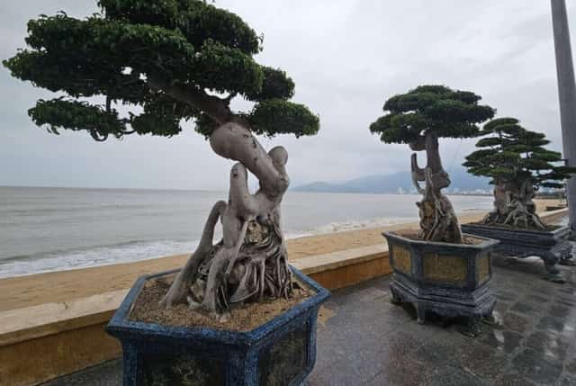 ここに展示されている作品のほとんどは、あらゆる種類のユニークな形をした古代の生き物です