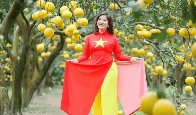 The entrance fee to Dũng Thu pomelo garden is 50,000 VND per person