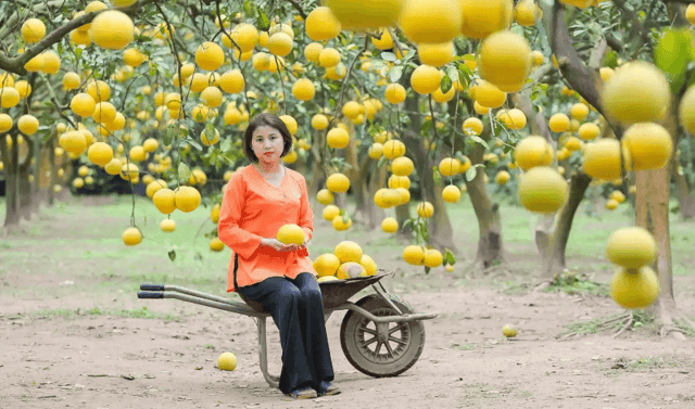 As Tet approaches, Mr. Dũng hires more staff to both oversee the garden and ensure timely harvesting for customer orders