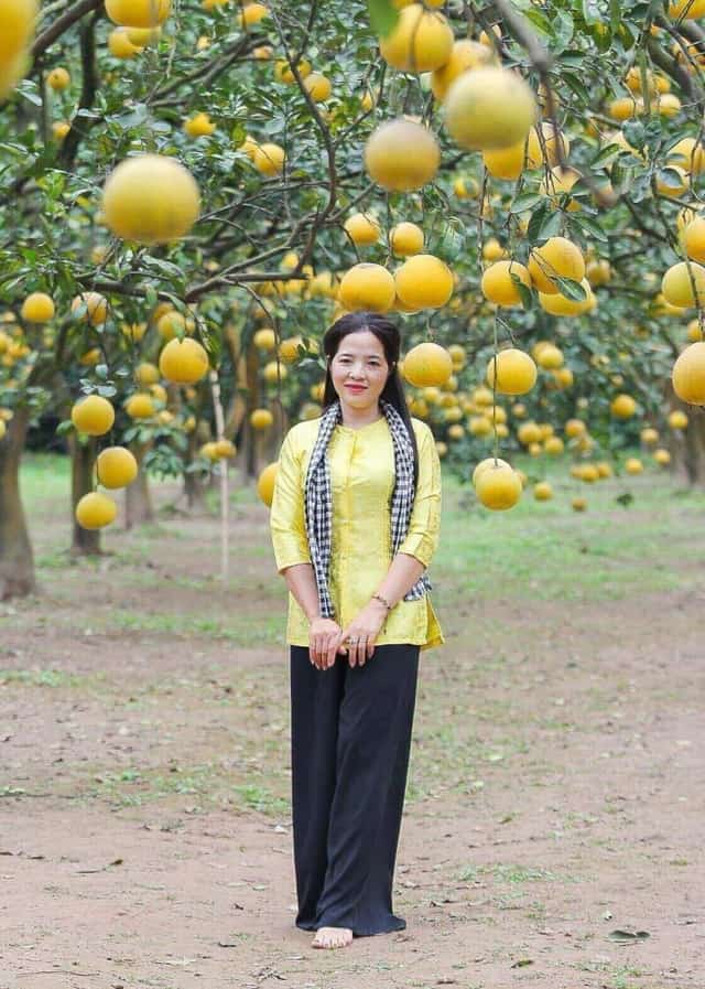 Witnessing firsthand the vast pomelo garden with its uniformly ripe, bright yellow fruit
