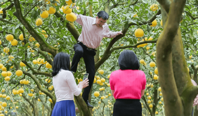 To capture unique photo angles, many people even climb up the trees to take pictures