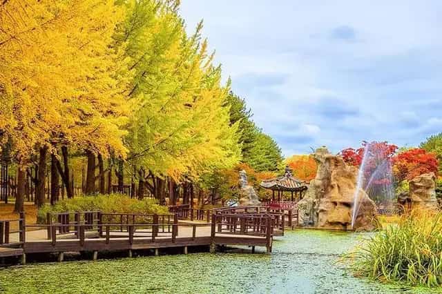 Đảo Nami là một những địa điểm đầu tiên chuyển mùa sang thu ở Hàn Quốc. (Ảnh: The Travel)