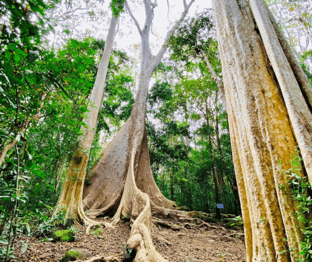 Exquisite nature, when protected and its value fully realized