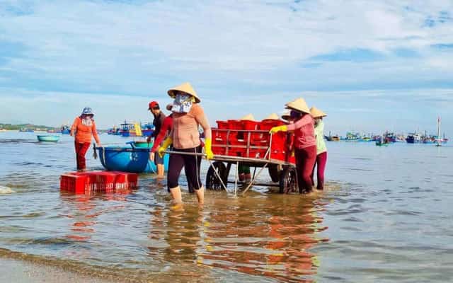 この魚市場は、多くの女性労働者にも仕事を提供している