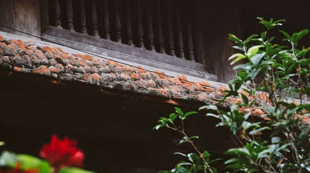 Its tranquil and peaceful atmosphere is created by the harmonious blend of the pagoda's architectural structures with the natural landscape, gardens, and the shade of ancient trees.