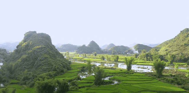 C&ograve; L&agrave;瀑布之所以成为许多游客每逢夏季都会选择的目的地，并非偶然
