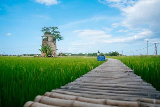 This old brick kiln, nestled amidst lush green rice fields in Vinh Nam hamlet, Duy Vinh commune, Duy Xuyen district, Quang Nam province, is approximately 5km from Hoi An City.