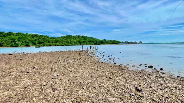 Wading several hundred meters across the emerald sea, with gentle waves lapping, will be an unforgettable adventurous experience for visitors