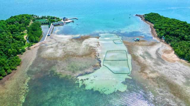 Đầm Dương is a place where visitors can relax, admire the sea views, and enjoy a variety of fresh seafood