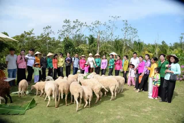 Khu du lịch sinh thái Hoa Rừng U Minh có khu nông trại