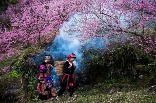 Cao Ma Po