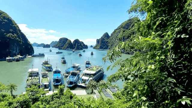 Mùa Thu, cây cối trên núi đá thay màu lá khoác lên vịnh màu áo mới, nhẹ nhàng