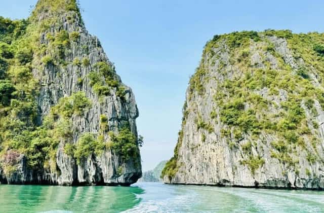 Ban quản lý vịnh đã phối hợp với địa phương và các sở ngành tăng cường thu gom lượng phao xốp và đã trả lại môi trường xanh, sạch đẹp cho vịnh Hạ Long