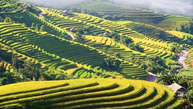 Hoang Su Phi Ha Giang 的巨大梯田