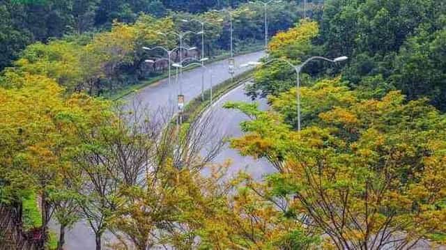 Kham pha tuyen duong do thi duy nhat tai Viet Nam khong co nha o-Hinh-2