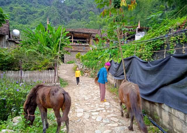 The simple life of the people of Khuoi Ky stone village
