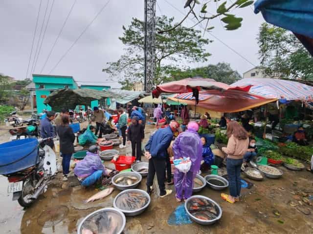 游客可以一大早探索 Nhon Ly 渔村的海鲜市场，更多地了解这里渔民的生活。