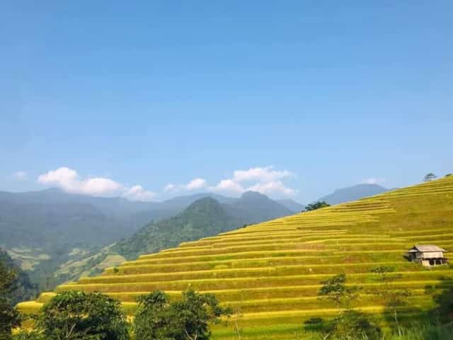 ハザン省ヴィーシュエン県カオボー村ルンタオの棚田風景