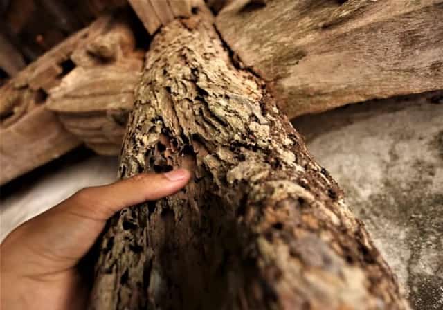 Over time, many sections of the structure have deteriorated and are in need of timely restoration.