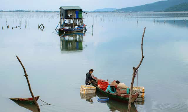 Là đầm nước lợ có rất nhiều loại hải sản tươi ngon