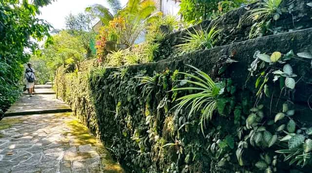Ngõ đá rợp bóng cây xanh ở làng cổ Lộc Yên