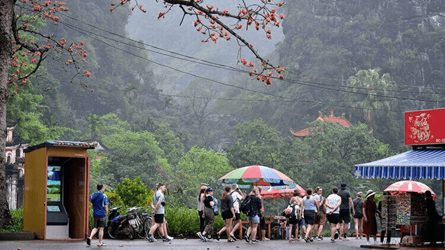 Every March, when the kapok flowers are in full bloom, Bich Dong Pagoda becomes a lively and captivating destination, drawing more visitors with the beauty of its kapok blossoms