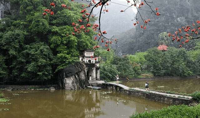 The picturesque scenery of kapok flowers intertwined with the serene beauty of ancient Buddha statues