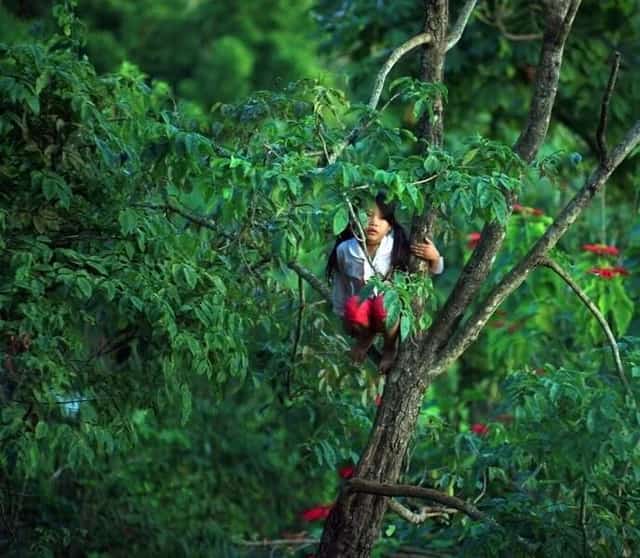 人里離れた秘境の山奥に広がる、素朴で美しい景色