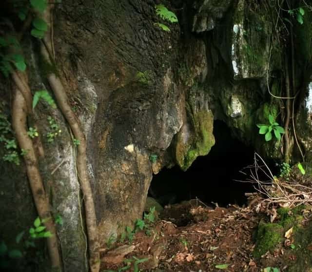 旅の目的地であるムオンティン洞窟の入り口が姿を現した